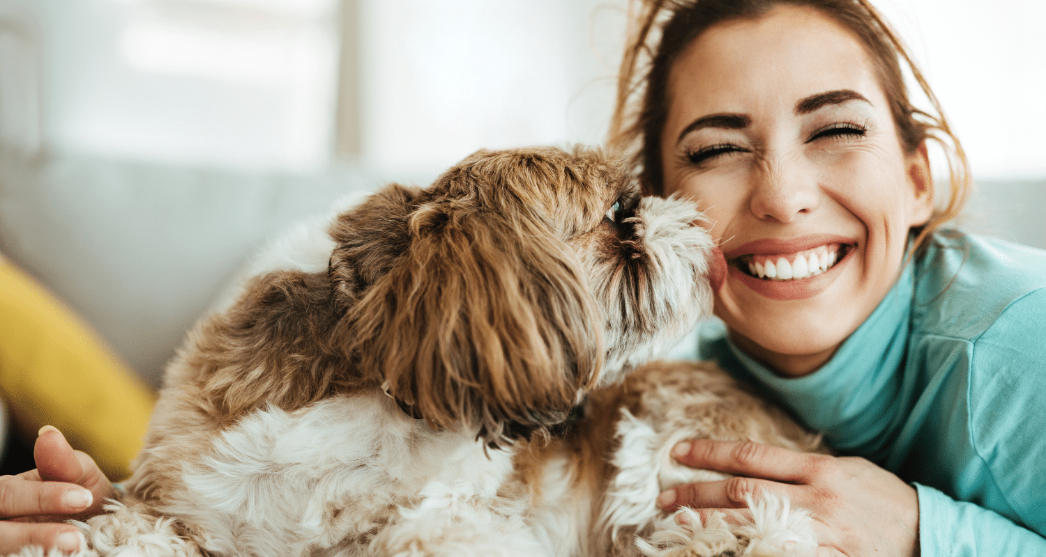 Why Homeowners Should Offer PetFriendly Vacation Rentals Gather