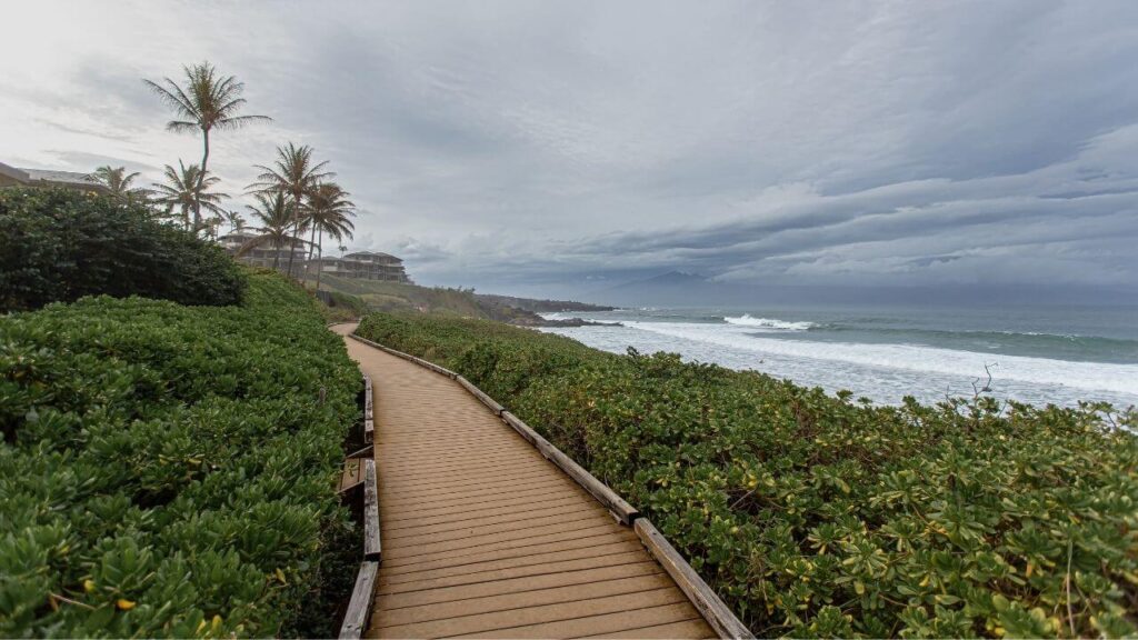 Kapalua Coastal TraIl scene